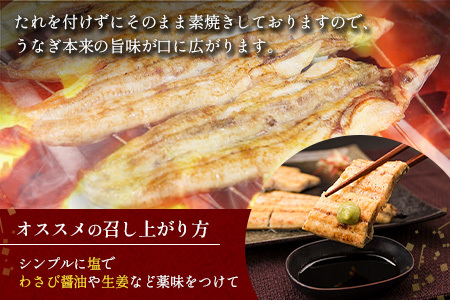 【訳あり】2週間以内発送 うなぎ白焼き 訳あり 不揃い 合計1kg（4～10尾入り）玄人の一品 バラツキ 数量限定 宮崎県産 冷凍 蒲焼タレ付【E224】