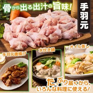 山梨県産＜健味鶏＞手羽元　２kgセット