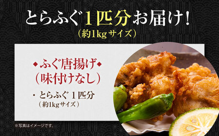 【先行予約】泳ぐ・とらふぐ 唐揚げ（味付なし） 1匹分 [HAB004]とらふぐ トラフグ ふぐ