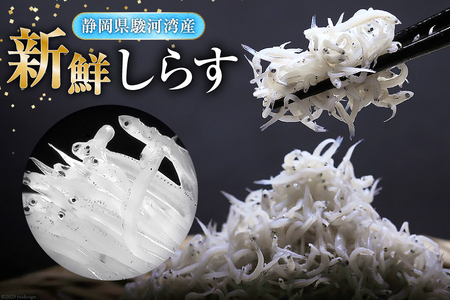 6回 定期便 駿河湾産 しらす干し 100g×3 釜上げしらす 120g×3 計6パック [マルあ水産 静岡県 吉田町 22424643]