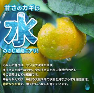 【早生】 ゆら早生 7.5kg ※2026年10月中旬頃～10月下旬頃に順次発送予定【nktn003-r-7d5】