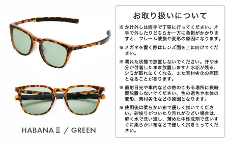 アイケア 目元のスキンケアができるアイウェア『SOLAIZ』シャープなウエリントンモデル SLD-005 HABANA 2/GREENレンズ (ハバナ2 / グリーンレンズ) 1本【サングラス 伊達メガネ ウエリントン メンズ レディース 男女兼用 ユニセックス 紫外線対策 UVカット率99.9%】 [C-17206_02]