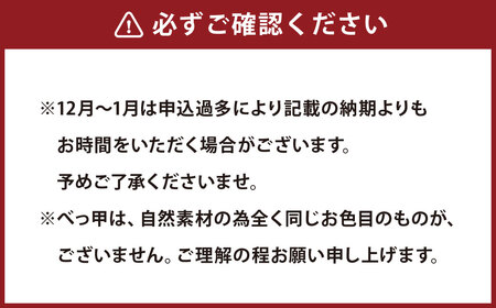 【7営業日以内発送】本べっ甲 携帯用靴ベラ小 ／ ギフト 父の日 靴べら 短ベラ べっ甲 ミニ
