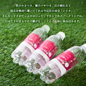 強炭酸水 九州 天然水 シリカ 500ml 24本 飲料水 炭酸水 美容 ミネラル 大分県 玖珠町