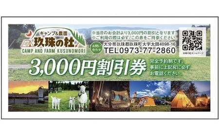 キャンプ＆農園玖珠の杜で使える3,000円チケット キャンプ チケット 利用券 旅行 アウトドア バーベキュー BBQ 温泉 野菜 宿泊 畑 収穫 農業体験 星空 大自然 牧場 薪 テント 玖珠の杜 九州 大分 温泉施設