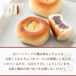 あんこ菓子いわしたの栗まんぢゅう２種詰め合わせ 大分 玖珠町 銘菓 栗まんぢゅう 昭和元年 七宝堂 甘さ控えめ さらっと口あたり 自家製こしあん 桃山 しっとり 食べ比べ 伝統 和菓子 和スイーツ スイーツ 栗 まんじゅう お菓子 専門店 名店 伝承 ふるさと