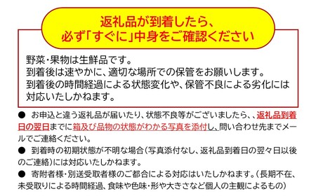 長野県産 紅玉 りんご 家庭用 約4.5kg （18～28玉）〈2026年10月出荷分／北海道・沖縄県・離島は配送不可〉 信州 果物 旬彩 先行予約 季節限定【 当園にて愛情たっぷりに育てたりんご 長野県 佐久市 】