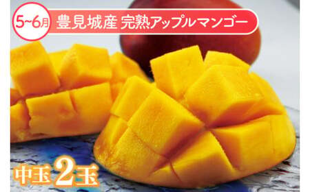 【全6回】人気！沖縄フルーツ定期便 (AC020)