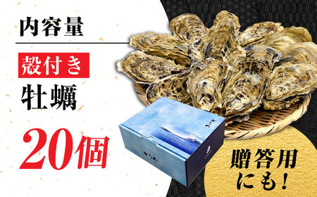 生牡蠣殻付き20個 牡蠣[XBP008]