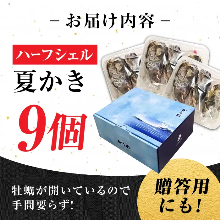 生牡蠣夏かき9個 牡蠣[XBP012]