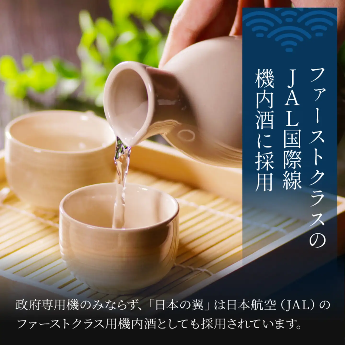 梵・日本の翼　