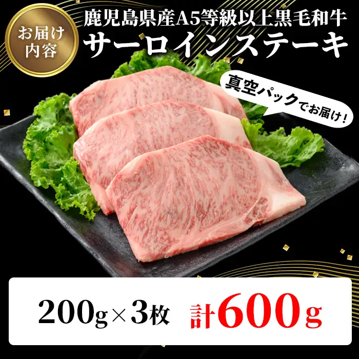 鹿児島県産 A5等級以上 黒毛和牛 霜降り サーロイン ステーキ 計600g(200g×3枚)  牛肉 【ビーフ倉薗】C42