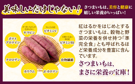 ★2026年12月から出荷★厳選 紅はるか 3kg しょうた農園《12月上旬-3月末頃出荷》福岡県 鞍手町 紅はるか さつまいも