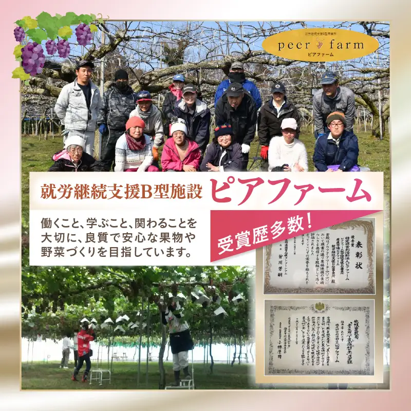 【福井県あわら市産】ふくいワイン【赤】 1本 / ワイン ワイナリー 赤ワイン ライトボディ ぶどう 葡萄 ふくいワイン ブランド フルーティー なめらか 人気 おすすめ プレゼント 贈り物 福井県 あわら市 [aw023-a003]