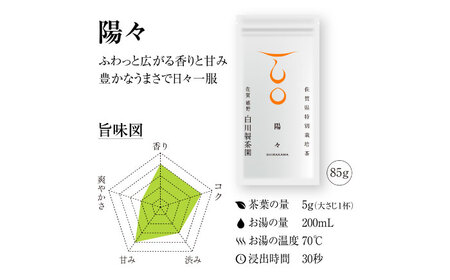 【ギフト箱・のし】白川稔の技ありセット｢撰（せん）｣ 計3袋 / お茶 / 白川製茶園 [41AIAB013]
