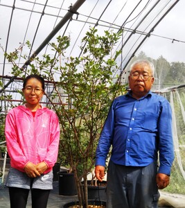 O-B-Iベリー農園のブルーベリージュース　720ml×2本 ブルーベリージュース 果汁飲料 ハイブッシュ ラビットアイ ブレンド 完熟 果物 ジュース 数量限定 ギフト 贈り物 山梨県 北杜市産 [h185]