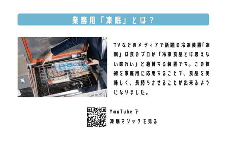 凍眠マジック 家庭用 急速冷凍庫｜高鮮度保持 時短 凍結 冷凍庫 冷凍保存 ALS0001