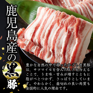 【0123307a】鹿児島黒牛ロースと黒豚ロースの焼肉セット(合計450g・黒牛ロース250g、黒豚ロース200g)国産 牛肉 豚肉 肉 冷凍 ロース 鹿児島 焼肉 BBQ バーベキュー【デリカフーズ】