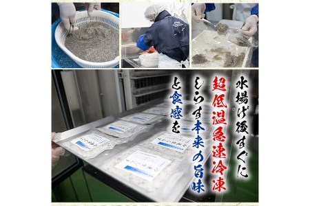 【22517】鹿児島県産生しらす(冷凍)計1kg(100g×10パック) 獲れたてしらすを急速冷凍！鮮度抜群なしらすをご家庭で気軽に！【東串良町漁業協同組合】