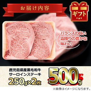 【30963】鹿児島県産黒毛和牛！A5等級サーロインステーキ(計500g・約250g×2枚) 国産 牛肉 肉 冷凍 サーロイン 鹿児島 ステーキ 焼肉 BBQ バーベキュー 【前田畜産たかしや】