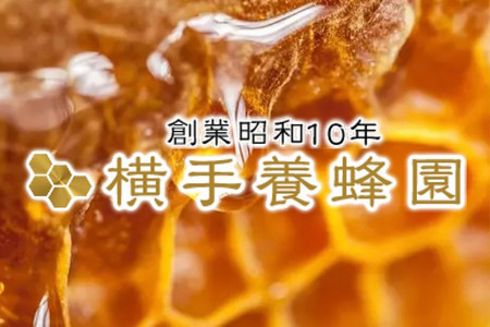 アカシアはちみつボトル 計400g（200g×2本）