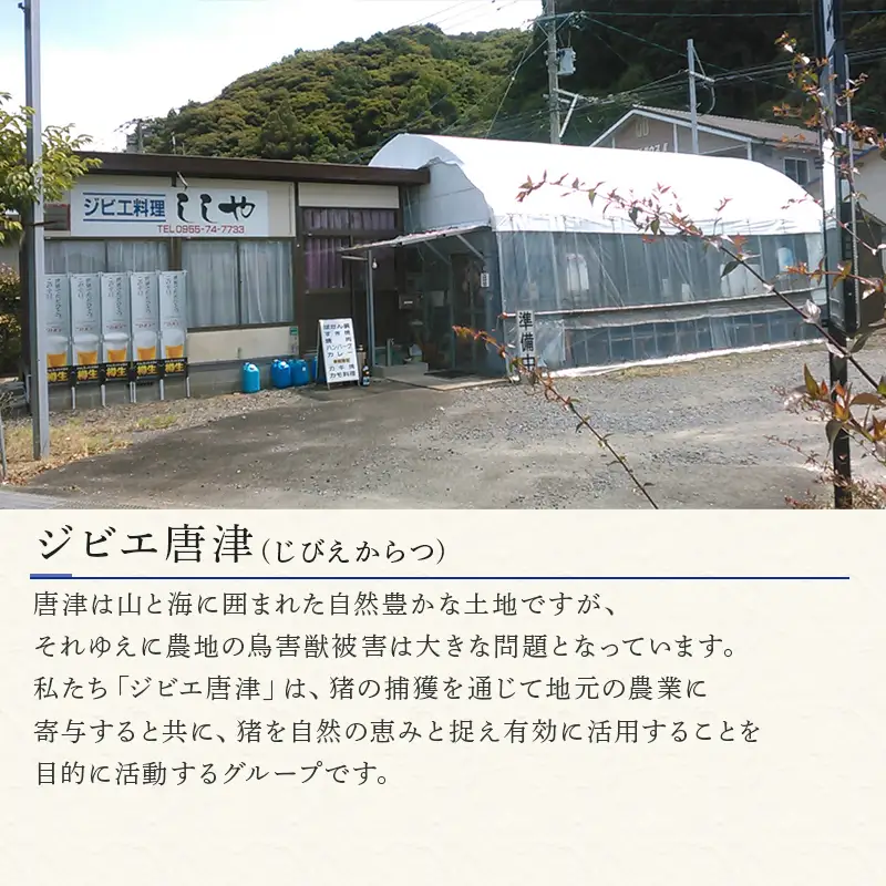 天然いのししひき肉 300g×3パック(合計900g) ハンバーグなど 生肉 冷凍 ジビエ