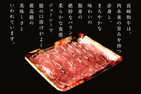 AI124 訳あり 牛肉 長崎和牛 切り落とし 計900g (300g×3P) [長崎県 島原市]