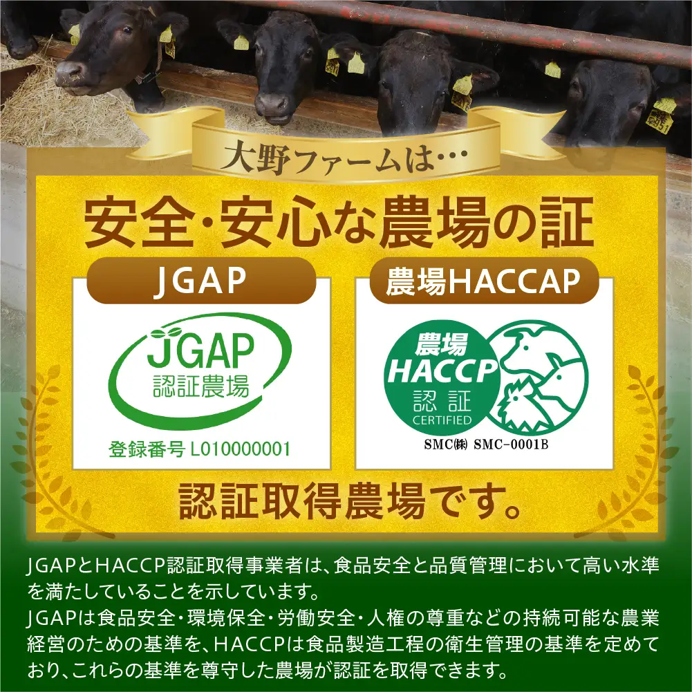 北海道十勝芽室町　未来とかち牛モモスライス　700g  北海道 牛肉 ビーフ ステーキ サーロイン 芽室町　me073-003c