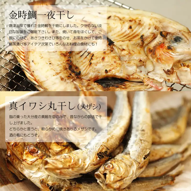 無添加・無着色・手造り 唐津産 『初めての唐津旬の干物5種10尾セット』唐津産真アジ醤油みりん干し、唐津産真サバひもの、唐津産季節の旬の白身魚一夜干し、真イワシ丸干し、トロあじ開き 干物 酒の肴 【ふるなび】