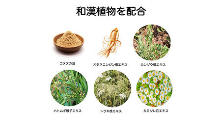 【Elvi Grace】美容洗顔石けん80g2個セット　ヒト幹細胞　レチノール　保湿　毛穴　黒ずみ　 エイジングケア　ビタミンC　洗顔　無添加_T2600265