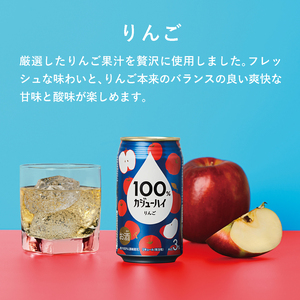 【定期便3回】100％カジューハイりんご 340ml × 72本 | 栃木県 下野市