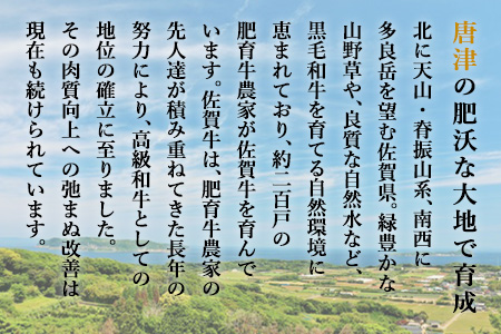 佐賀牛手造りハンバーグ 大小合計9個 140g×1個入×3袋(合計420g) 90g×2個入×3袋(合計540g) ギフト