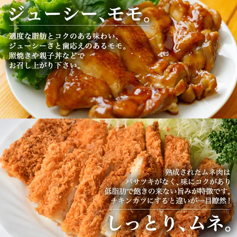 ありたどり正肉セット ありたどりモモ肉 2kg ありたどり熟成ムネ肉 2kg(合計4kg) 唐揚げ 親子丼 ギフト