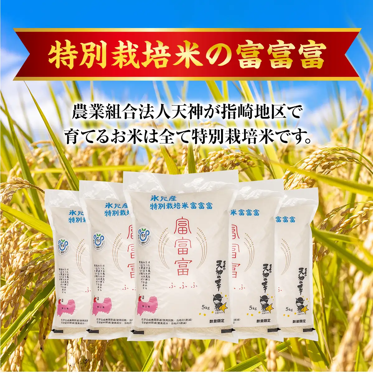 【特別栽培米】 令和7年産 富山県産 “富富富” ２kg×２ 無洗米  