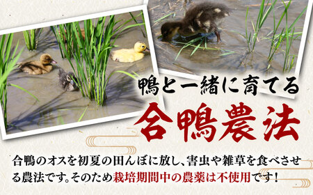 地酒 一鳥万宝 1800ml×2本 ADBF002 日本酒 酒 地酒 米 純米大吟醸