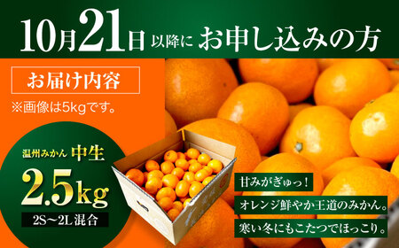 みかん【先行予約】みかん 2.5kg [AGBC004]