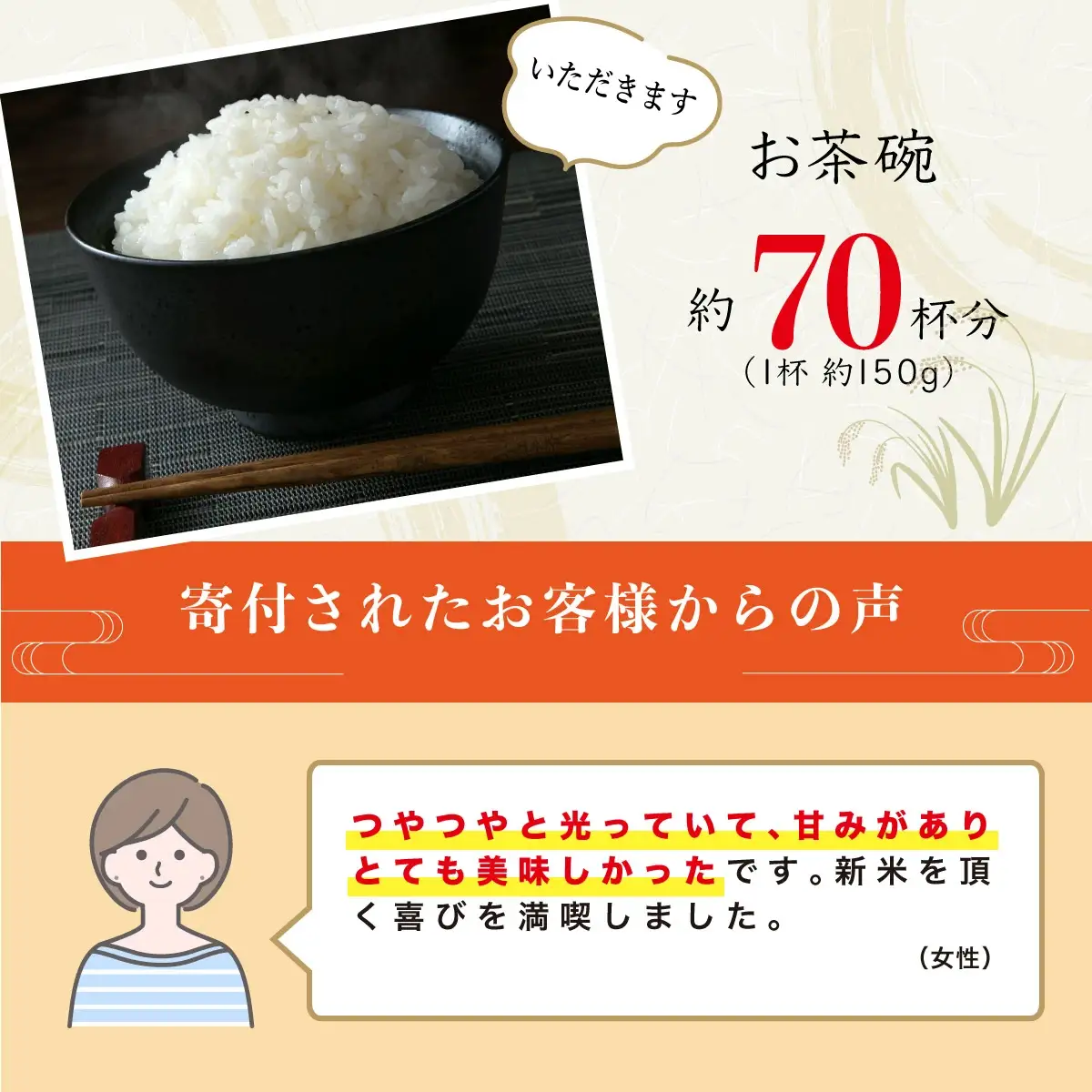 ＜2026年8月発送＞令和8年産コシヒカリ 5kg【S137】