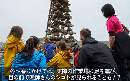 あなたの知らないホタテの世界（4人用）