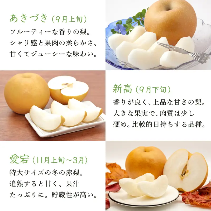 『先行予約』今が食べ頃 特栽 旬の梨5kg【令和8年の夏ごろの発送】和梨 幸水 豊水 新高 あきづき 愛宕 果物 フルーツ くだもの