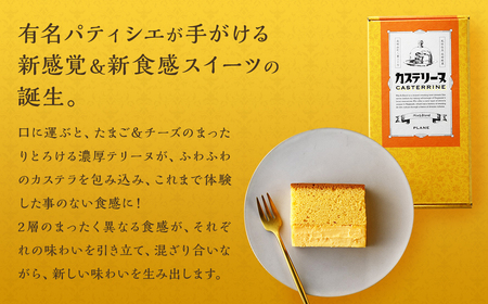 【全3回定期便】長崎カステリーヌ 1本 合計3本 ／ タナカヤ カステラ かすてら スイーツ デザート お菓子 菓子 長崎県 長崎市