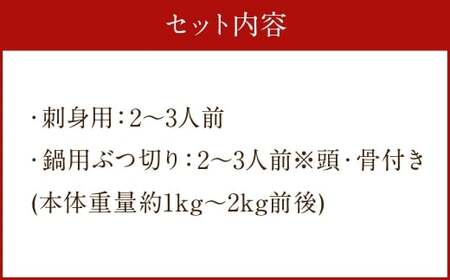 長崎の森で育てた『幻のクエ』【ハーフセット】 刺身用 2〜3人前・鍋用 2～3人前（1kg～2kg前後）／ 海鮮 魚介類 クエ  刺身 鍋 高級魚 長崎産