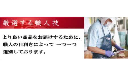 【7営業日以内発送】すえひろスライス 100g×5個セット ／ 鯨 クジラ肉 鯨料理 セット 珍味 鯨肉