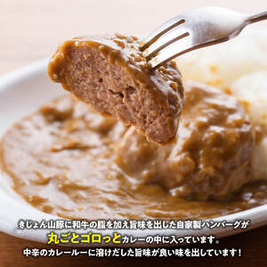 【12ヶ月定期便】宮崎県産豚肉バラエティ4種セット2.5kg【【3ヶ月定期便】月替わりおかずセット【 肉 豚 豚肉 ロース ハンバーグ カレー  】 肉 豚 豚肉 ロース バラ 切り落とし 】