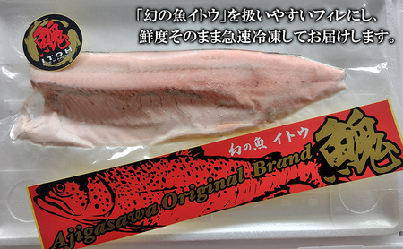 鰺ヶ沢産「幻の魚イトウ」フィレ1枚 約500g 魚貝類 川魚 