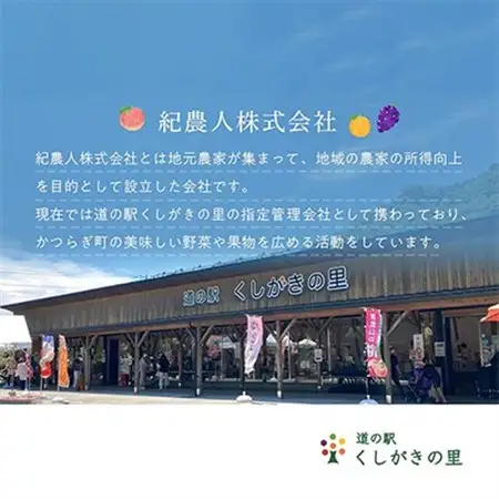 先行受付!　柿　種無し　赤秀品　超大玉　5～6個　こだわり農家厳選!【配送不可地域：離島】【1543604】