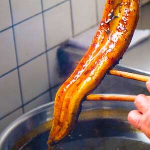 定期便 12回 うなぎ 職人による手焼き うなぎの蒲焼き 定期便(2尾×12カ月) ウナギ