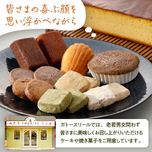 ガトースリール利用券（6,000円分） 利用券 金券 ﾁｹｯﾄ ｽｲｰﾂ お菓子 洋菓子 【0108-003】