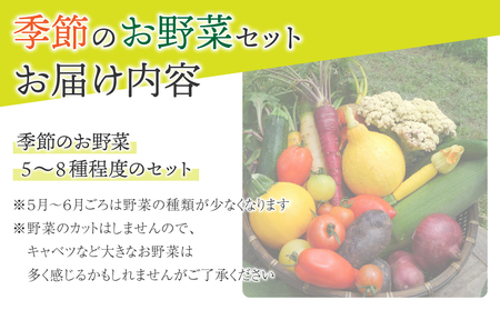 【アグロノーム】季節のお野菜セット（２～３人様向け）