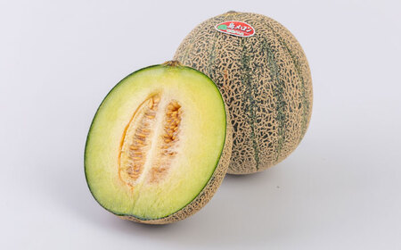 【2026年6月中旬以降順次発送】【数量限定】 壱岐産 アムスメロン 4〜6玉（5kg～6kg前後） 《壱岐市》【壱岐市農業協同組合】[JBO017] 