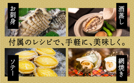 天然活アワビ・活サザエセット(2人前用）淡路島産